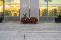 a fire hydrant on the sidewalk outside of a library building with planters near it