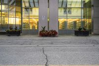 a fire hydrant on the sidewalk outside of a library building with planters near it