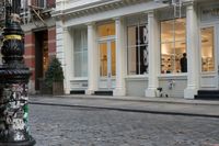 the fire hydrant outside of a brick storefront with shop windows and white pillars