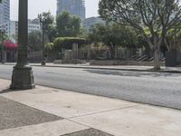 a fire hydrant on the sidewalk in front of a light pole with buildings in the distance