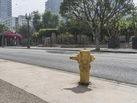 a fire hydrant on the sidewalk in front of a light pole with buildings in the distance