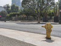 a fire hydrant on the sidewalk in front of a light pole with buildings in the distance