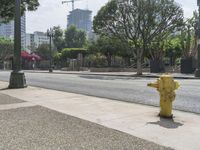 a fire hydrant on the sidewalk in front of a light pole with buildings in the distance