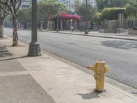 a fire hydrant on the sidewalk in front of a light pole with buildings in the distance