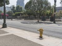 a fire hydrant on the sidewalk in front of a light pole with buildings in the distance