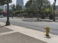 a fire hydrant on the sidewalk in front of a light pole with buildings in the distance