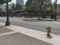 a fire hydrant on the sidewalk in front of a light pole with buildings in the distance