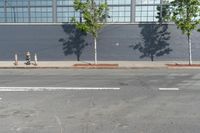 two fire hydrant sitting in front of a wall with trees growing between them at the curb