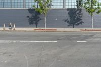 two fire hydrant sitting in front of a wall with trees growing between them at the curb