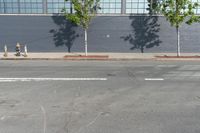 two fire hydrant sitting in front of a wall with trees growing between them at the curb