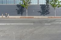 two fire hydrant sitting in front of a wall with trees growing between them at the curb