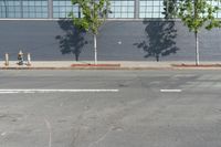 two fire hydrant sitting in front of a wall with trees growing between them at the curb