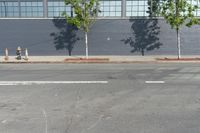 two fire hydrant sitting in front of a wall with trees growing between them at the curb