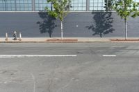 two fire hydrant sitting in front of a wall with trees growing between them at the curb