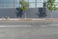 two fire hydrant sitting in front of a wall with trees growing between them at the curb