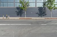 two fire hydrant sitting in front of a wall with trees growing between them at the curb