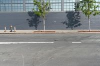 two fire hydrant sitting in front of a wall with trees growing between them at the curb