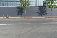 two fire hydrant sitting in front of a wall with trees growing between them at the curb