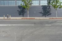 two fire hydrant sitting in front of a wall with trees growing between them at the curb