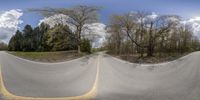 this is a very fish eye view of the two roads in the sky and a few trees