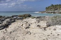 the beach is made up of rocks and boulders on the shore, and the ocean with palm trees