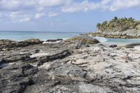 the beach is made up of rocks and boulders on the shore, and the ocean with palm trees