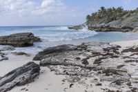 Florida Coastal Landscape: Beaches and the Ocean View