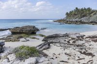 Florida Coastal Landscape: Beaches and the Ocean View