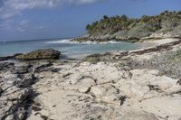 Florida Coastal Landscape: Sand and Water