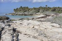 Florida Coastal Landscape: Sand and Water