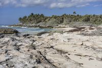 Florida Coastal Landscape: Sand and Water