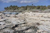 Florida Coastal Landscape: Sand and Water