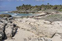 Florida Coastal Landscape: Sand and Water