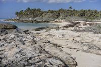 Florida Coastal Landscape: Sand and Water