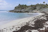 Florida Coastal Landscape: Sandy Beach 001