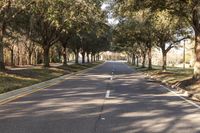 Florida Daytime Landscape: Nature and Road