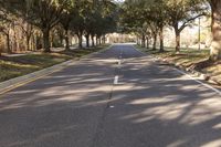 Florida Daytime Landscape: Nature and Road