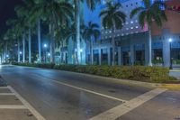 Florida Metropolitan Area at Night: Lights and Architecture