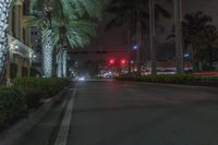 Florida Metropolitan Area at Night: A Glimpse of City Lights