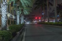 Florida Metropolitan Area at Night: A Glimpse of City Lights