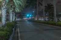 Florida Metropolitan Area at Night: A Glimpse of City Lights