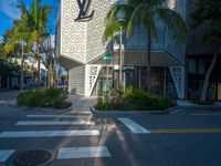 palm trees on a city street and the sidewalk at an intersection with a building behind them