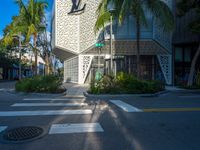 palm trees on a city street and the sidewalk at an intersection with a building behind them