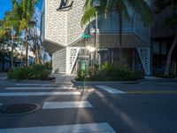 palm trees on a city street and the sidewalk at an intersection with a building behind them