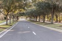 an empty road is lined with trees and grass and plants are also visible in this shot