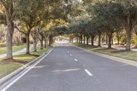 an empty road is lined with trees and grass and plants are also visible in this shot