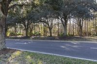 Florida Road: Asphalt, Grass, Property - Day 001