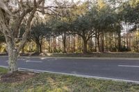 Florida Scenic Road with Green Grass and Trees