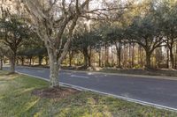 Florida Scenic Road with Green Grass and Trees 003