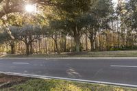 the road leading to the park has sun peeking through trees that line the roadway near some grass